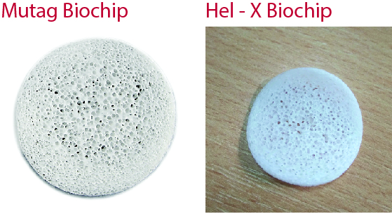 So sánh giá thể vi sinh Mutag biochip và Hel – X biochip