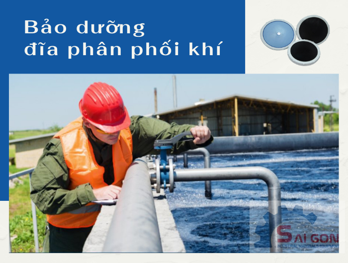 Vệ sinh, bảo trì và bảo dưỡng đĩa phân phối khí