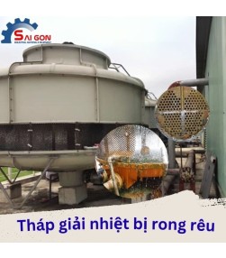 5 cách nhận biết tháp giải nhiệt đang bị mắc rong rêu