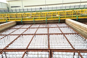 Dự án thay thế giá thể vi sinh cho nhà máy thép Nippon BRVT 