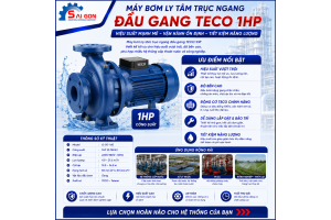 máy bơm ly tâm đầu gang Teco 1HP