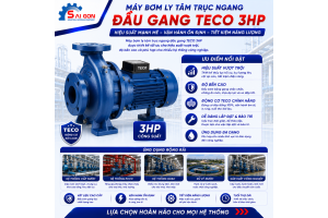Máy bơm ly tâm đầu gang Teco 3HP