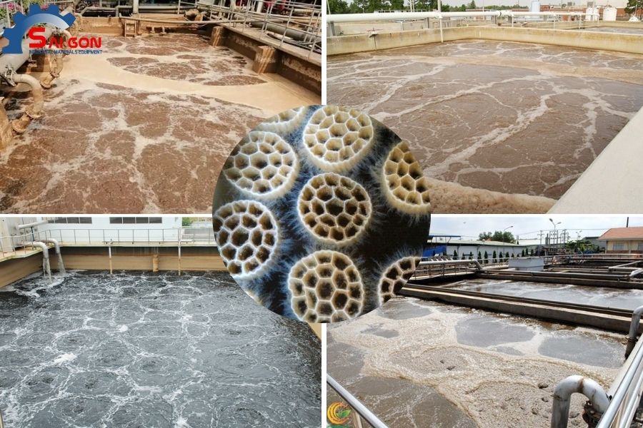Ứng dụng xử lý nước thải bằng giá thể vi sinh