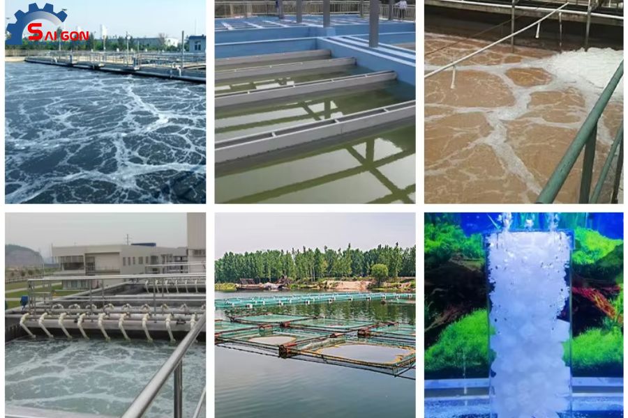 Các ứng dụng của giá thể vi sinh tại An Giang