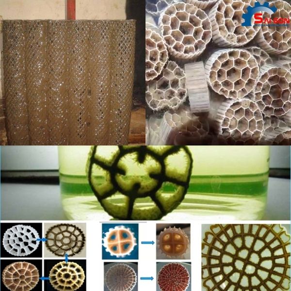Sự cố giá thể vi sinh bị vỡ/không dính bám