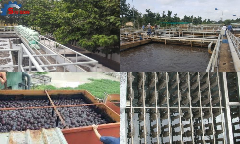 Ứng dụng của giá thể vi sinh tại Bắc Ninh