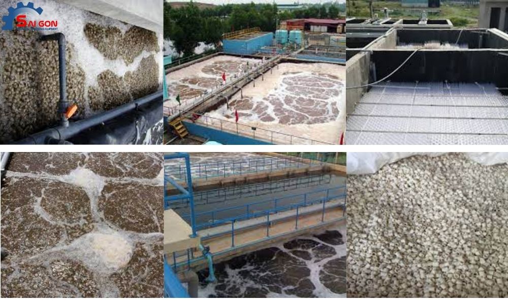 Ứng dụng của giá thể vi sinh tại Hưng Yên