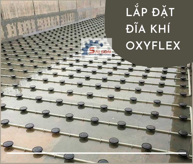 Đĩa thổi khí Oxyflex lắp đặt dễ dàng, giá rẻ