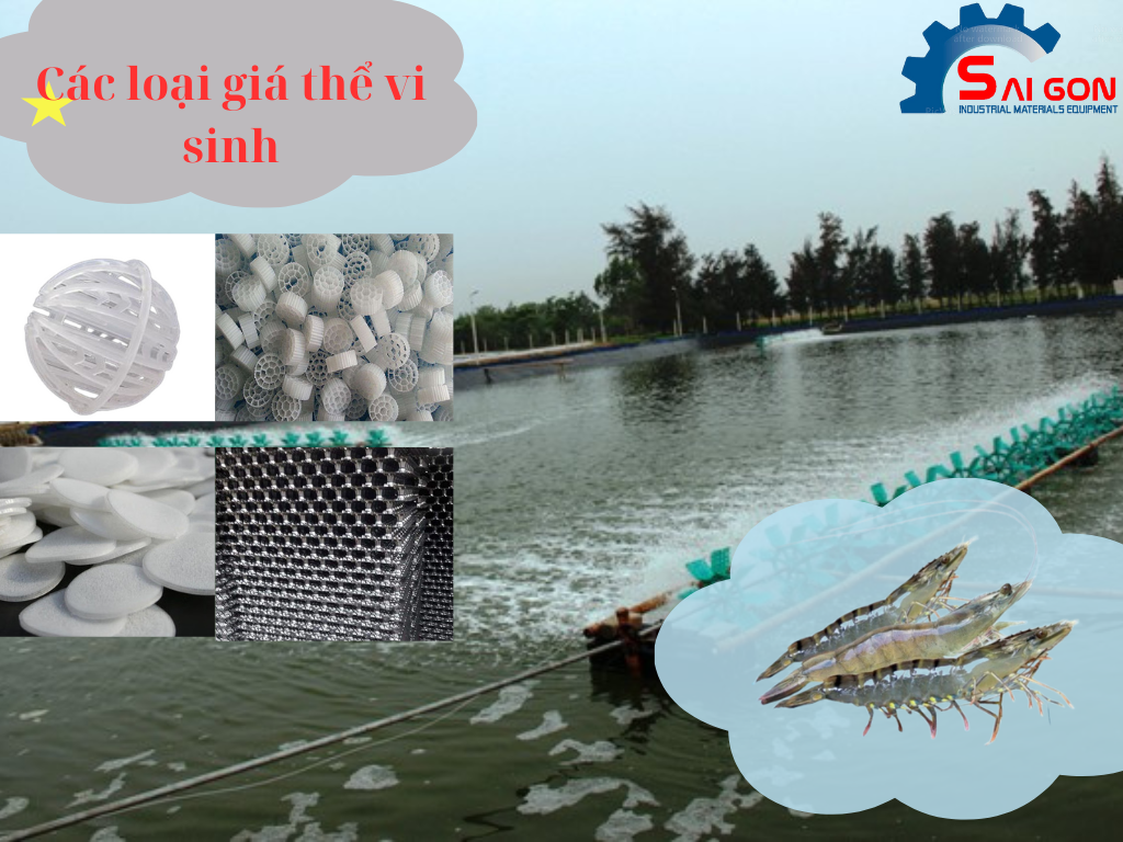 Các loại giá thể vi sinh