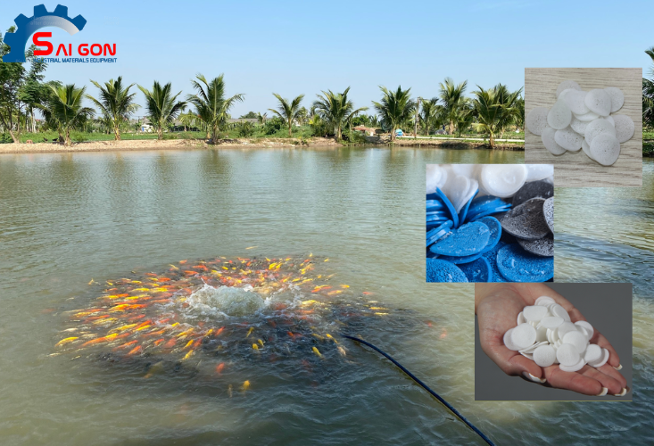 Giá thể vi sinh - Nền tảng hệ sinh thái hồ cá