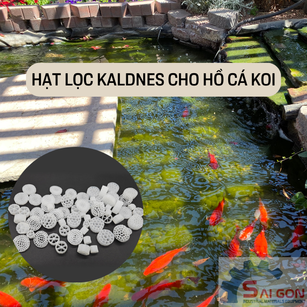 Tác dụng của hạt lọc Kaldnes cho hồ nuôi cá KOI