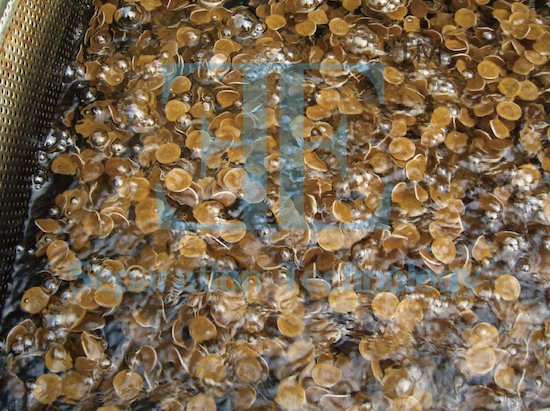 Giá thể vi sinh mang đến cho công nghiệp xử lý nước nhiều lợi ích thiết thực.