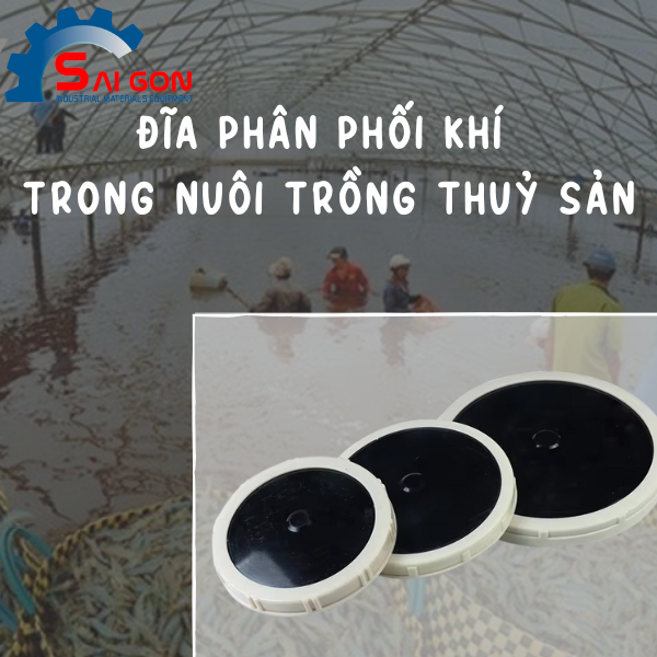 Đĩa phân phối khí trong nuôi trồng thuỷ sản