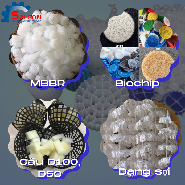 Phân loại giá thể vi sinh tại Vĩnh Phúc