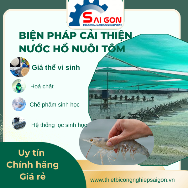 Top các biện pháp cải thiện nước hồ nuôi tôm