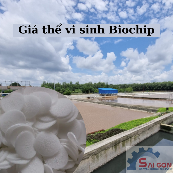 Giá thể vi sinh Biochip