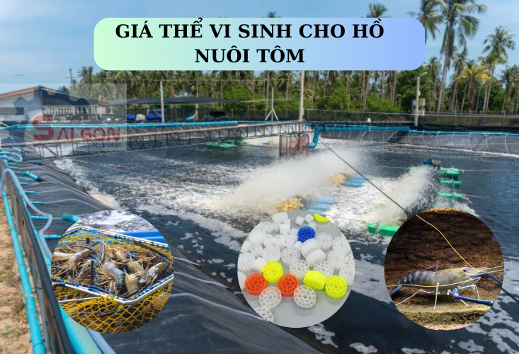 Giá thể vi sinh cho hồ nuôi tôm