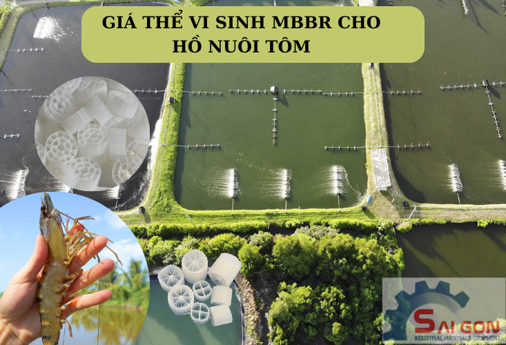 Giá thể vi sinh MBBR cho hồ nuôi tôm