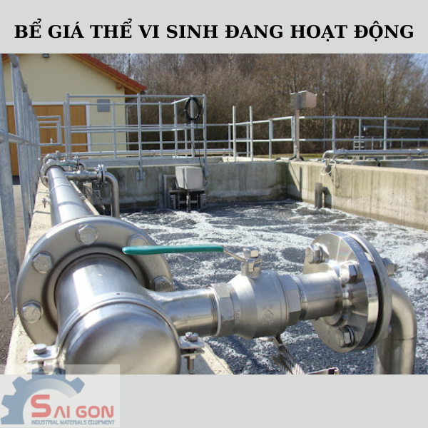 Giá thể vi sinh tại Bình Định