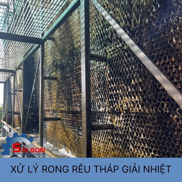Xử lý rong rêu trong tháp giải nhiệt