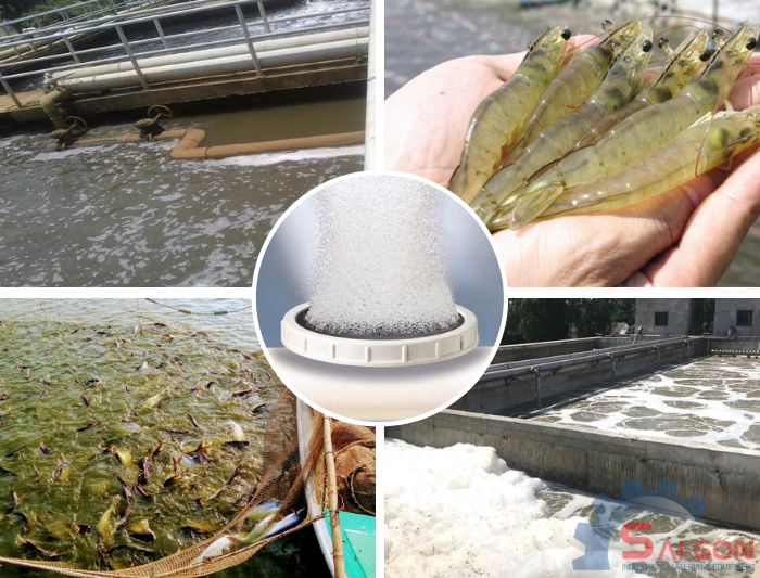 Một số ứng dụng của đĩa phân phối khí